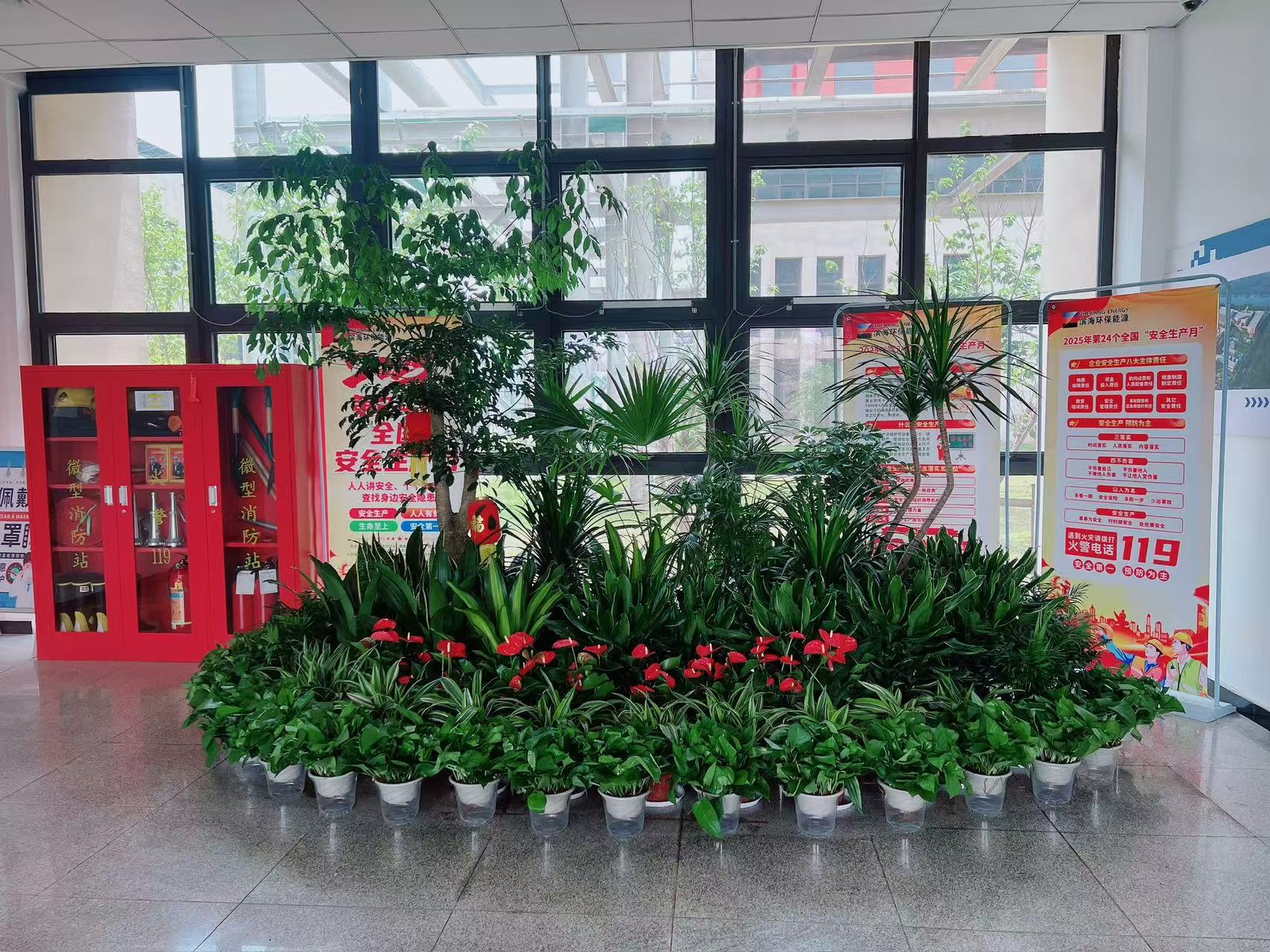 宁波镇海花卉租赁，实惠价打造迷人花卉天地